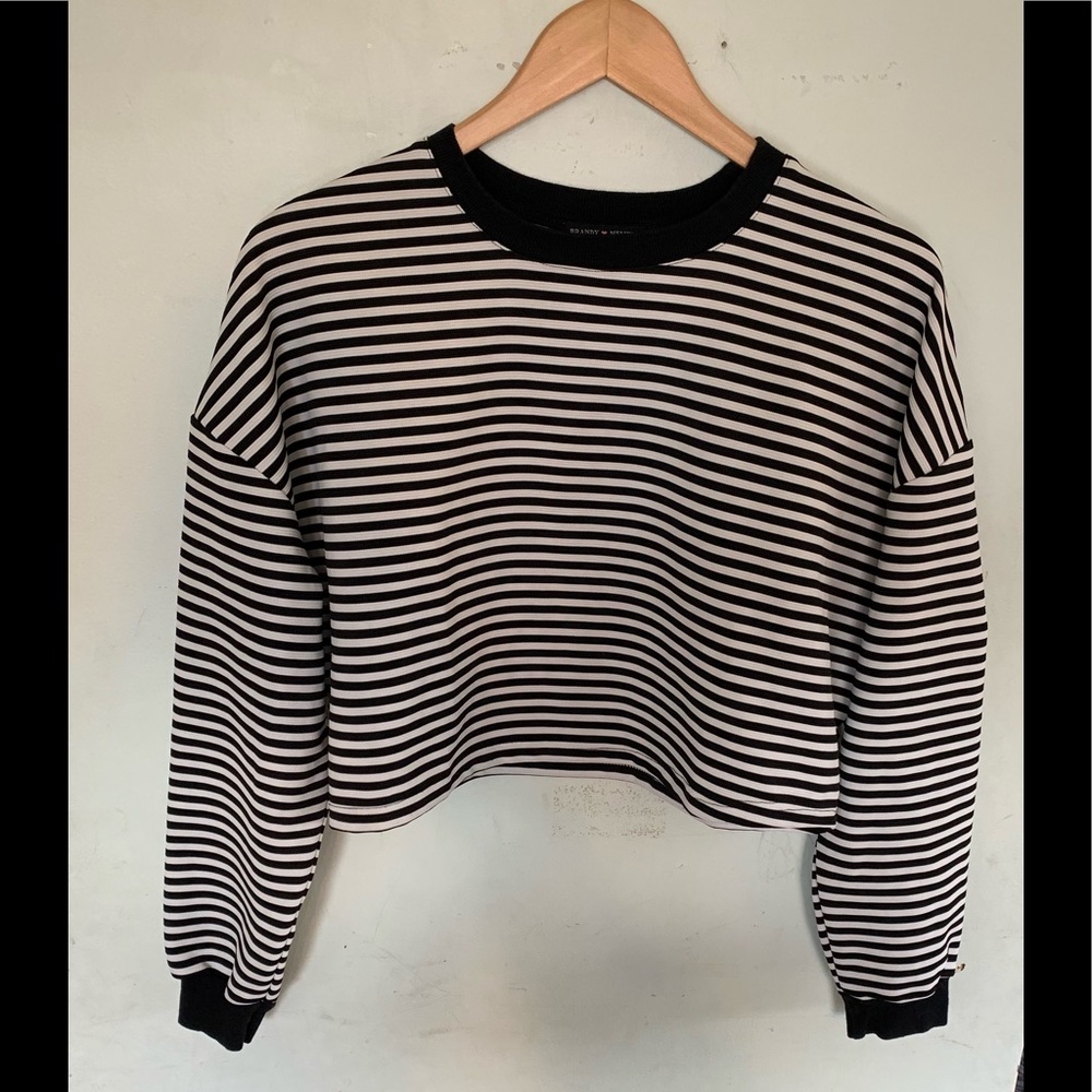 Brandy Melville Striped Long Sleeve Crop Top